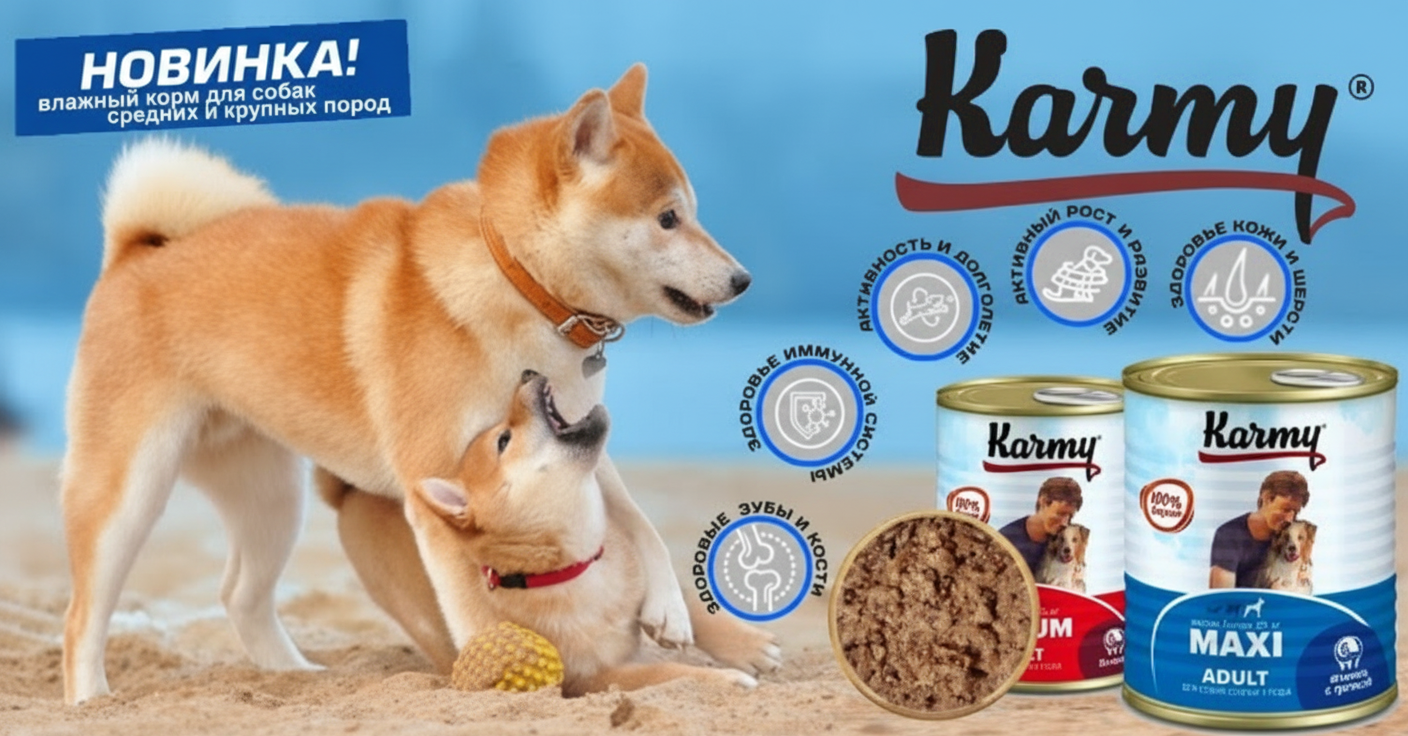 https://zoomarket.com.